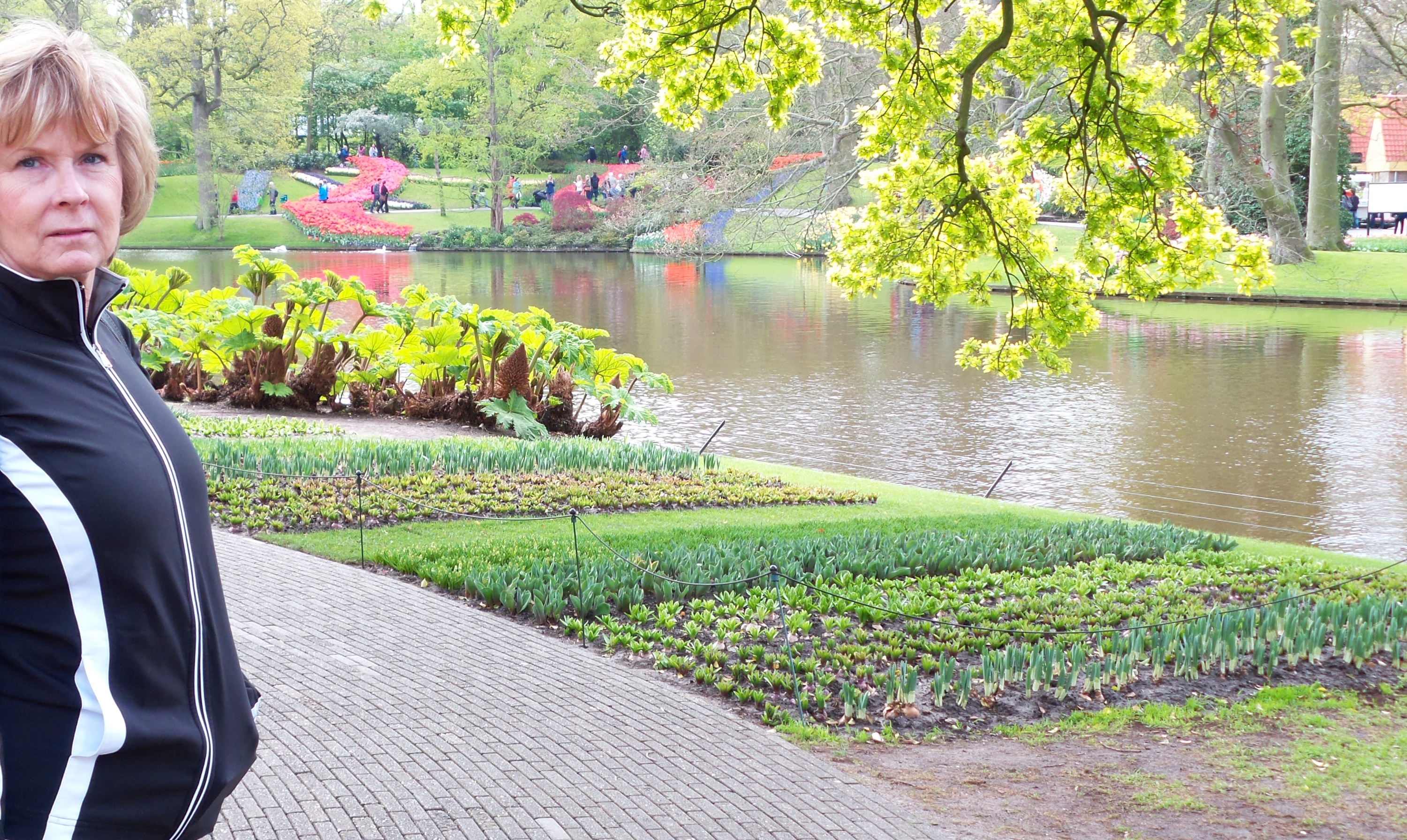 2014-04-17 Holland Tulips 37.jpg